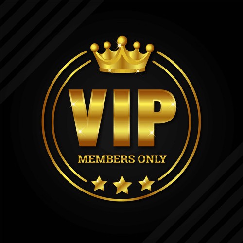 Payment Link for VIP Customer 163